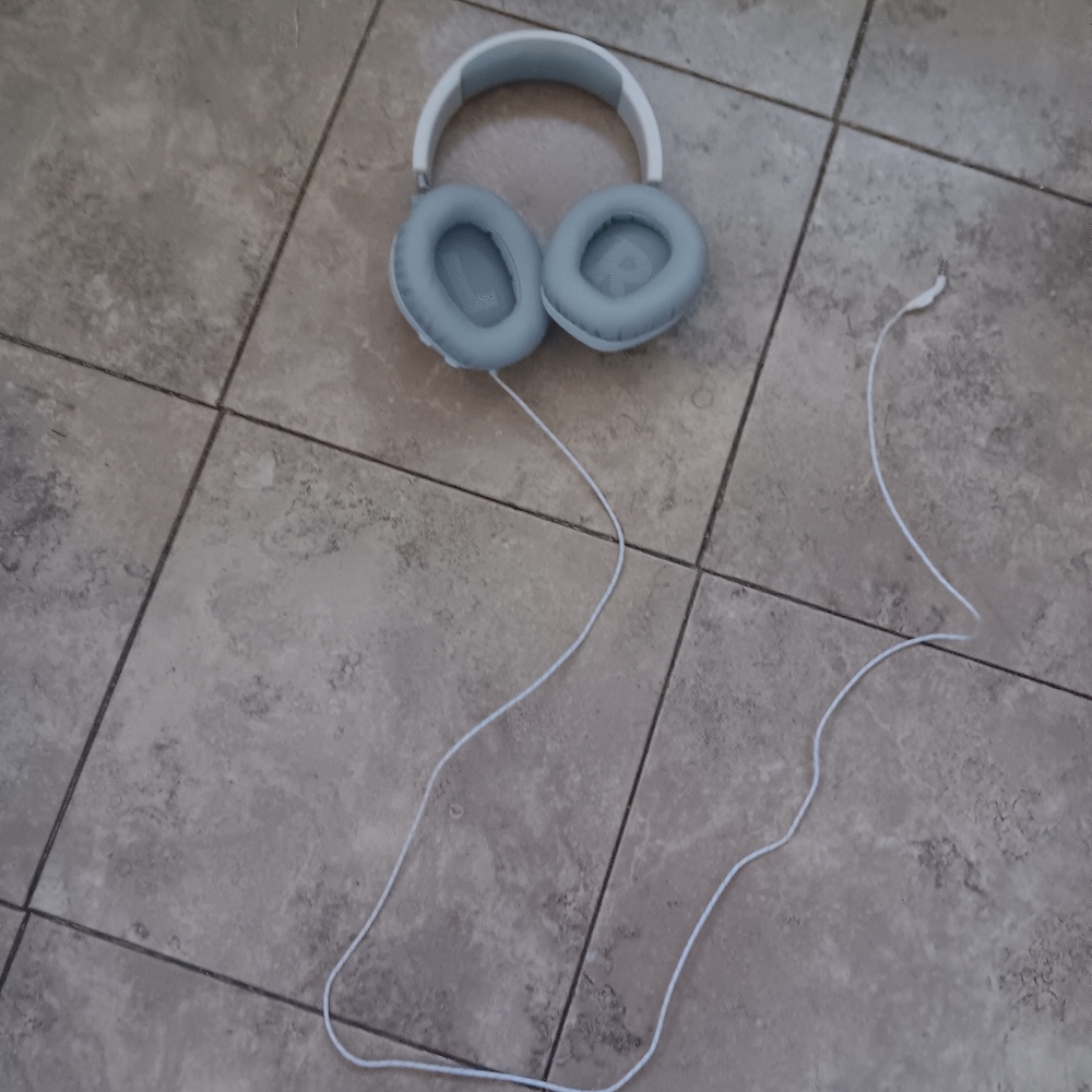 Gray Wired Headphones